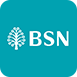 bsn